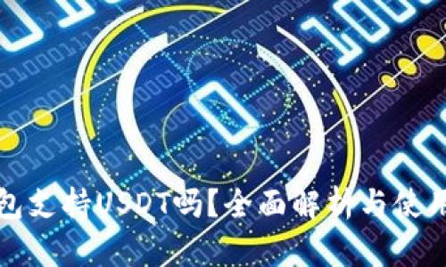 TP钱包支持USDT吗？全面解析与使用指南